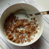 Granola su medumi